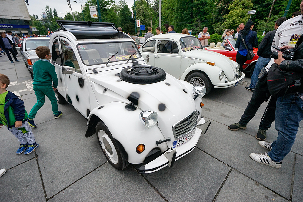 ANADOLIJA/Elman Omiç