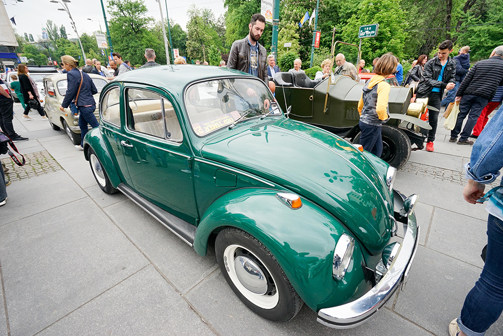 ANADOLIJA/Elman Omiç