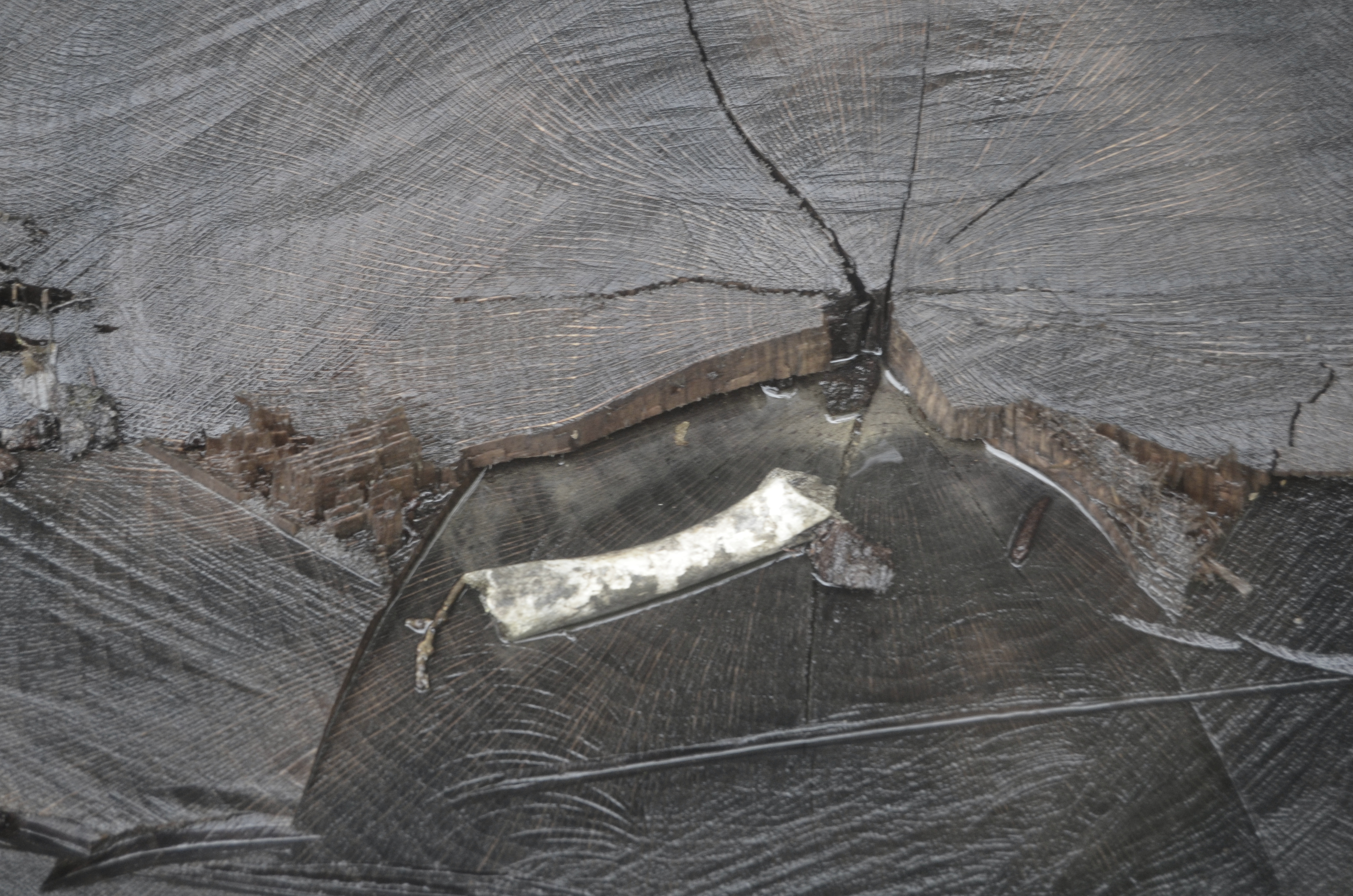 20180627_2_31170050_35123249