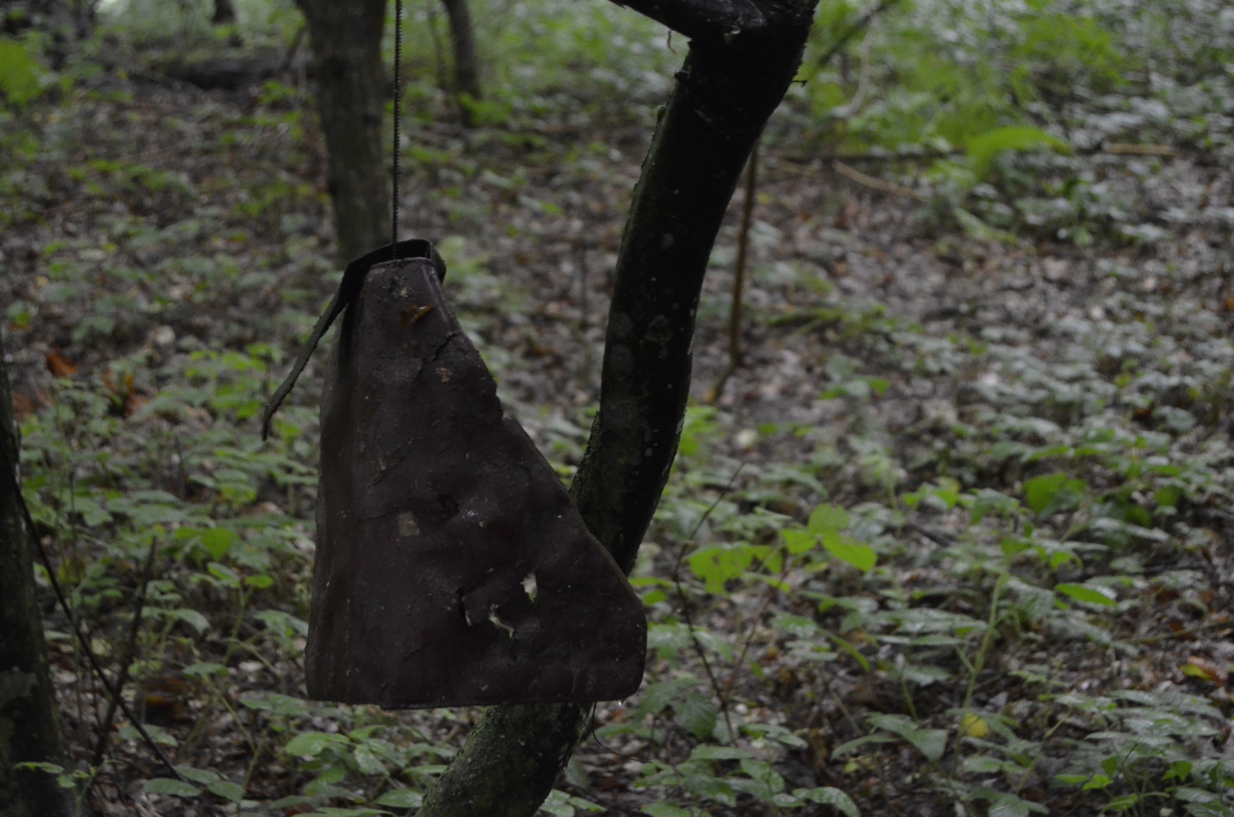 20180627_2_31170050_35123250