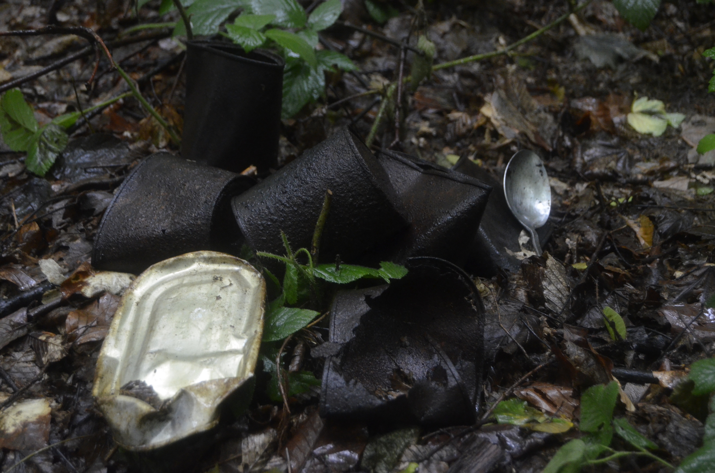 20180627_2_31170050_35123251