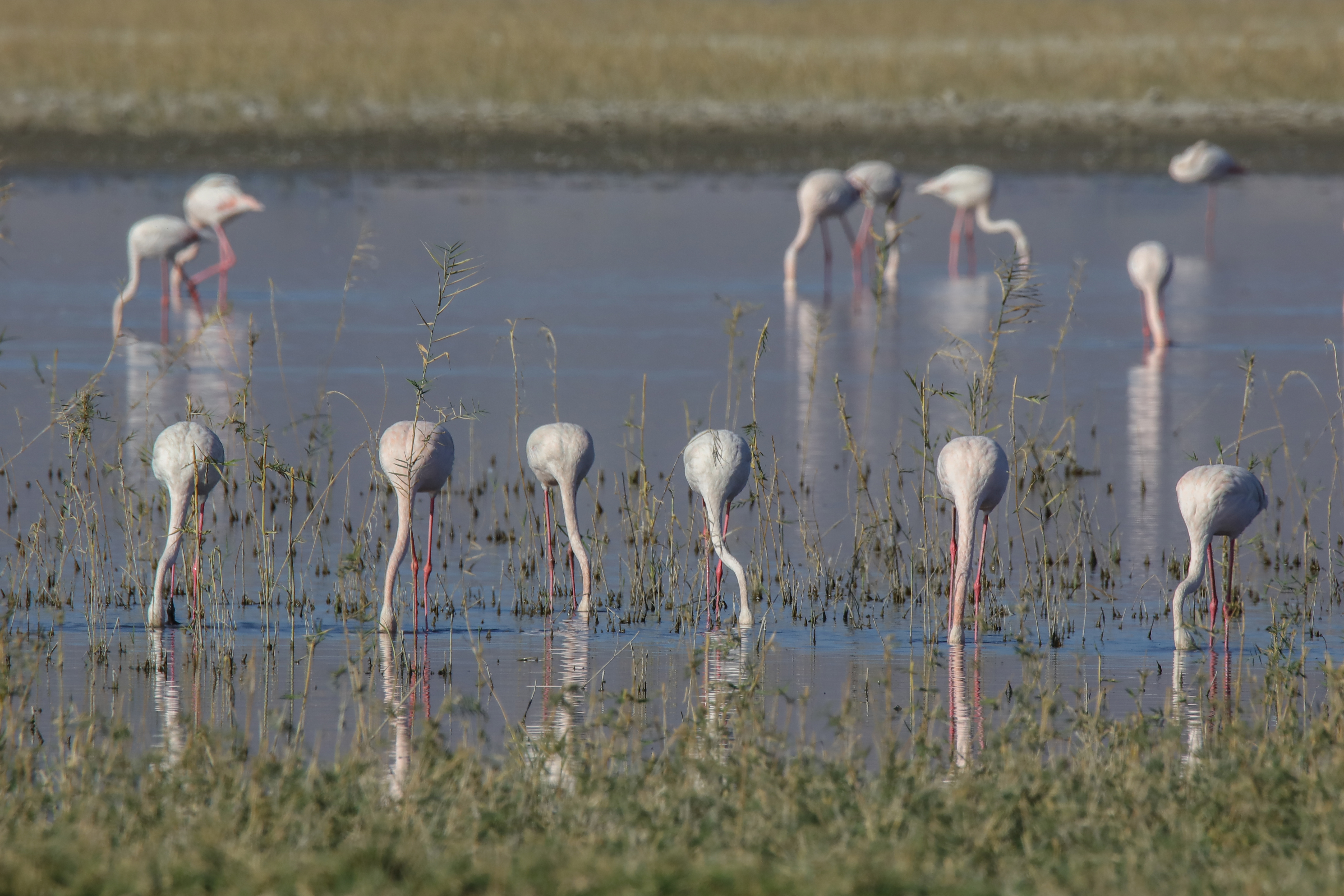 20180930_2_32625465_37679469