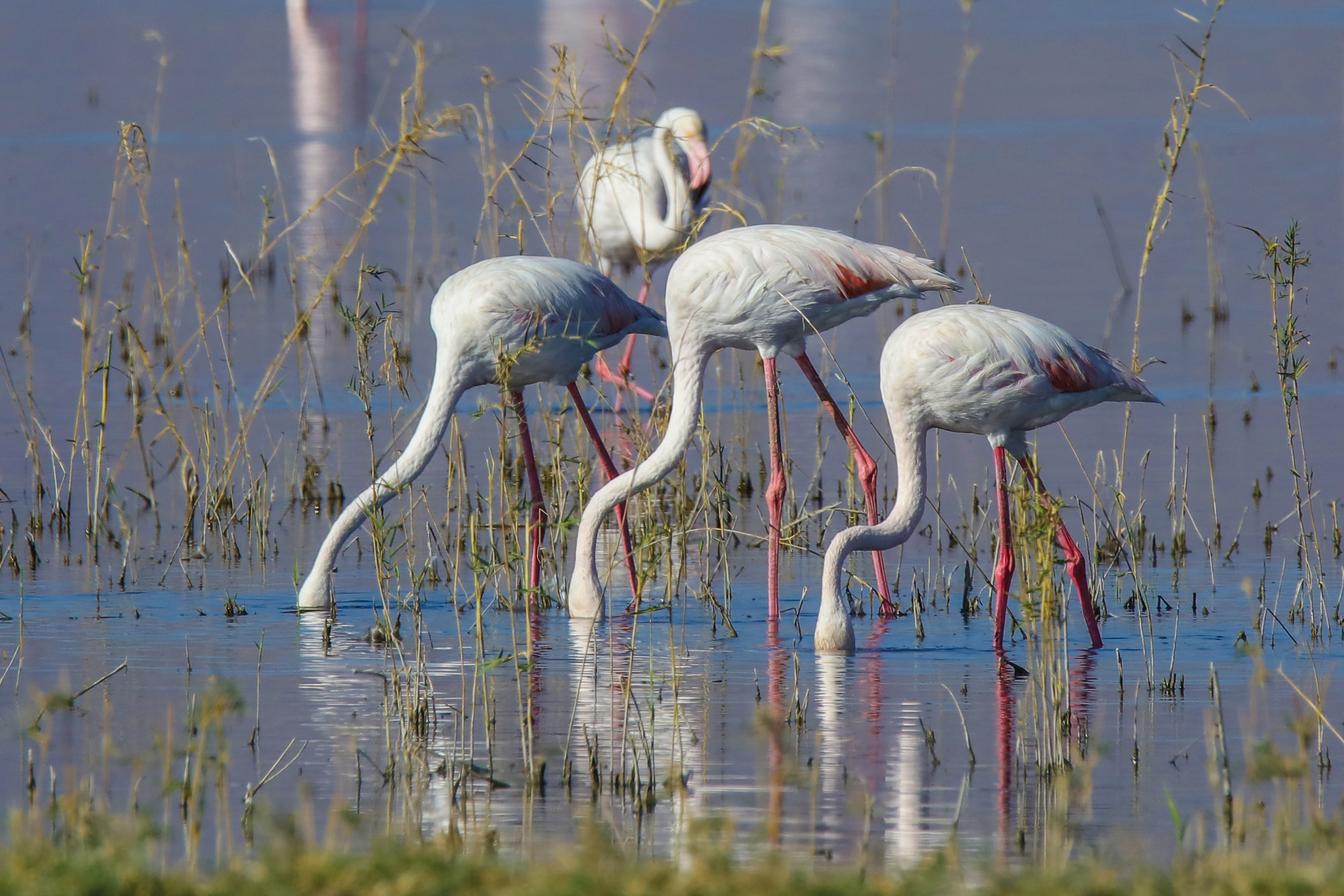 20180930_2_32625465_37679471