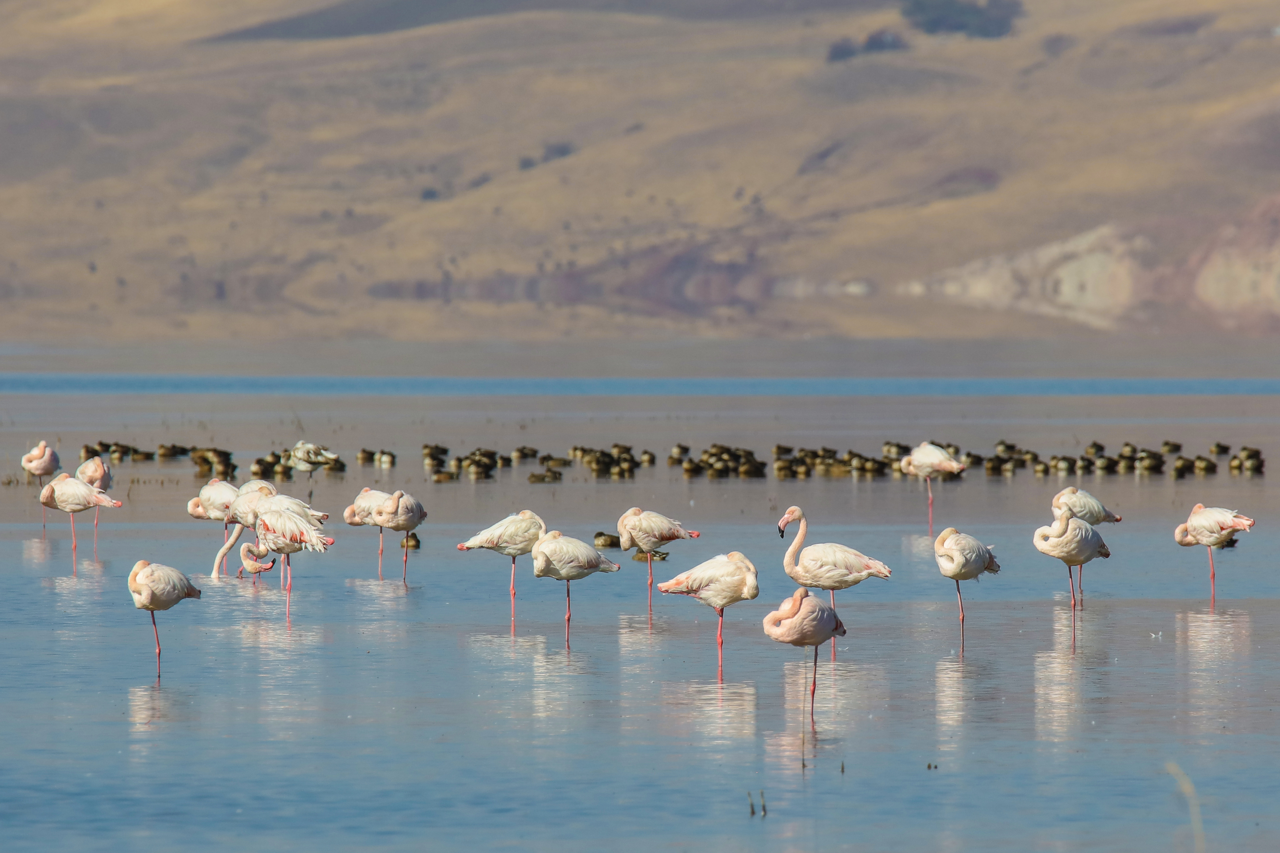 20180930_2_32625465_37679472