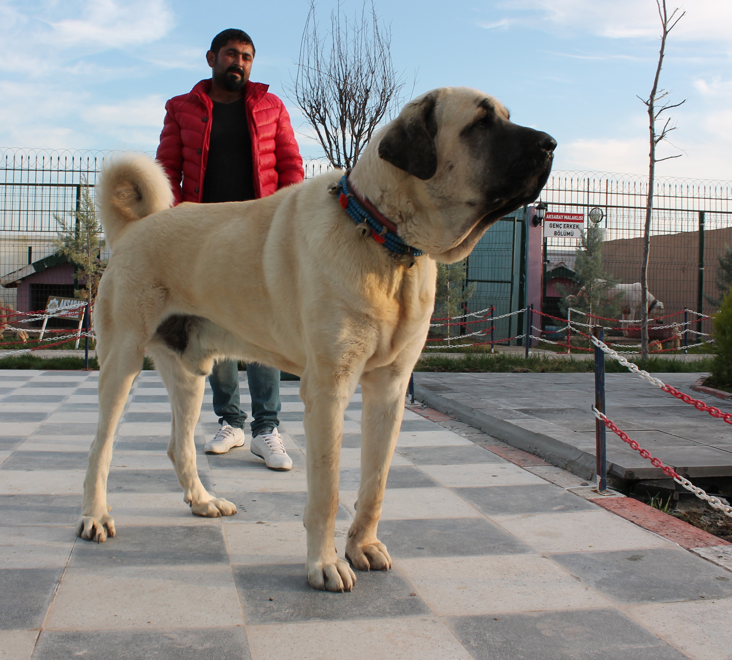 20181105_2_33268555_38754874