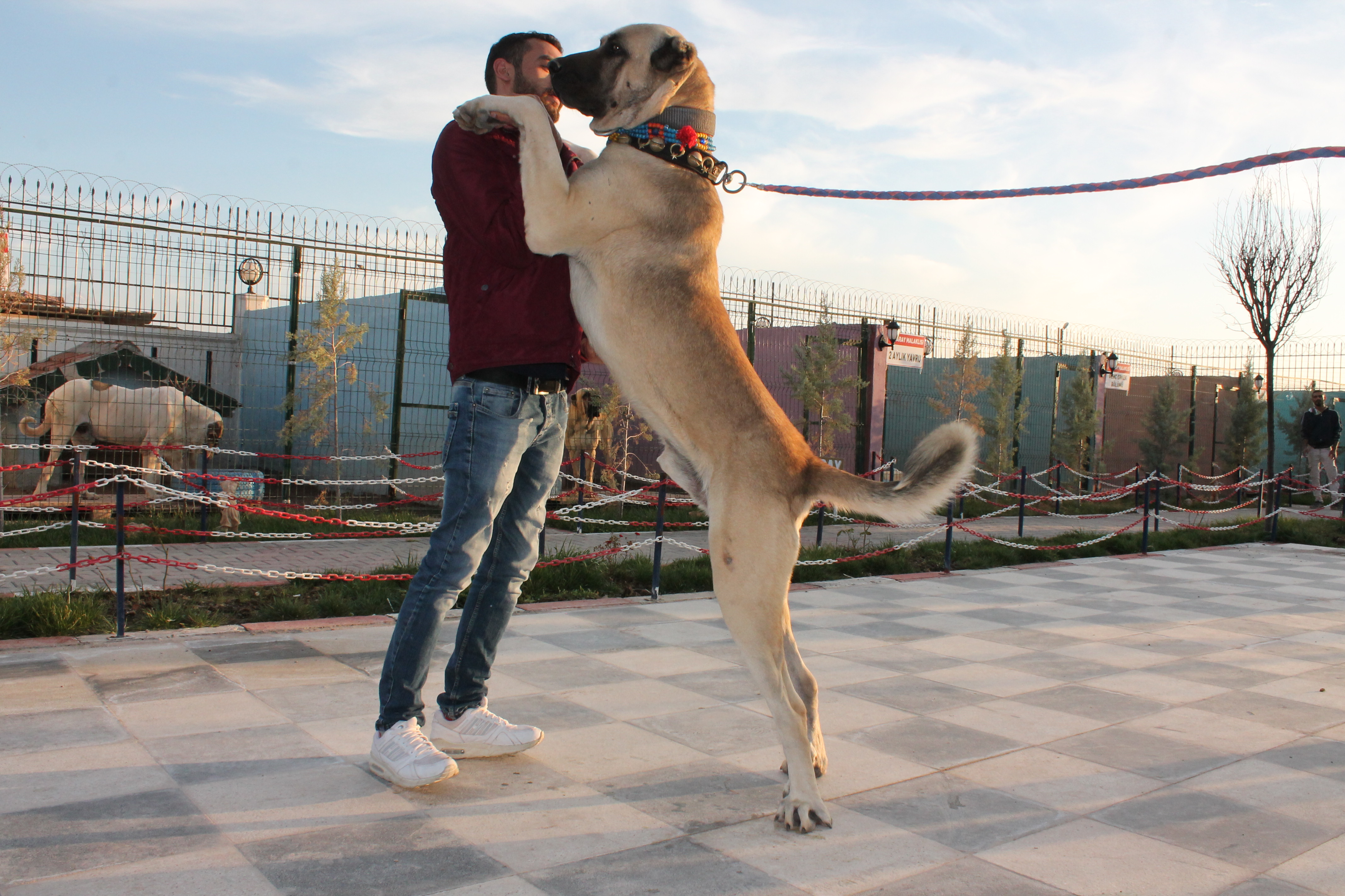 20181105_2_33268555_38754878