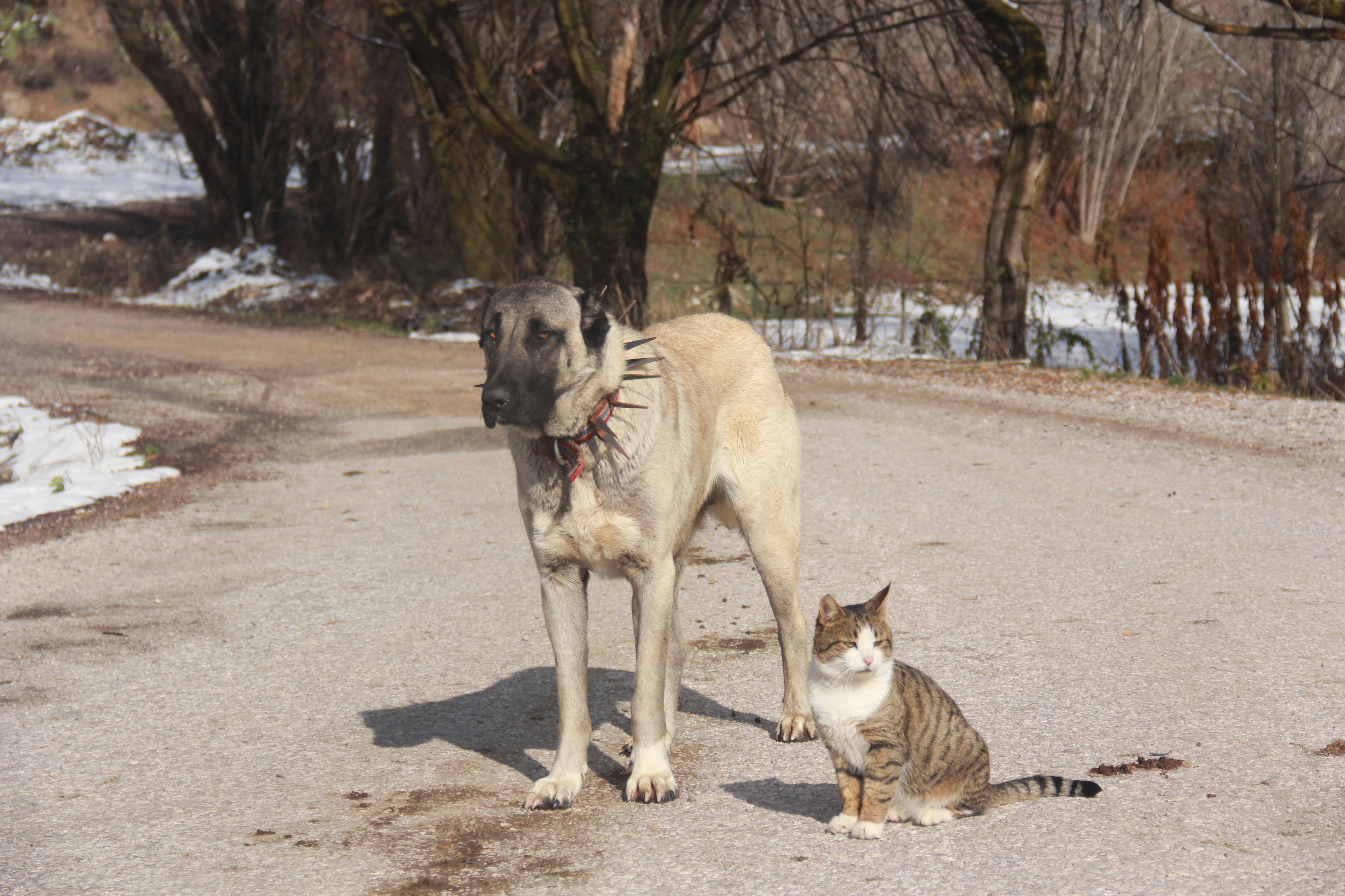 20181118_2_33482340_39119469