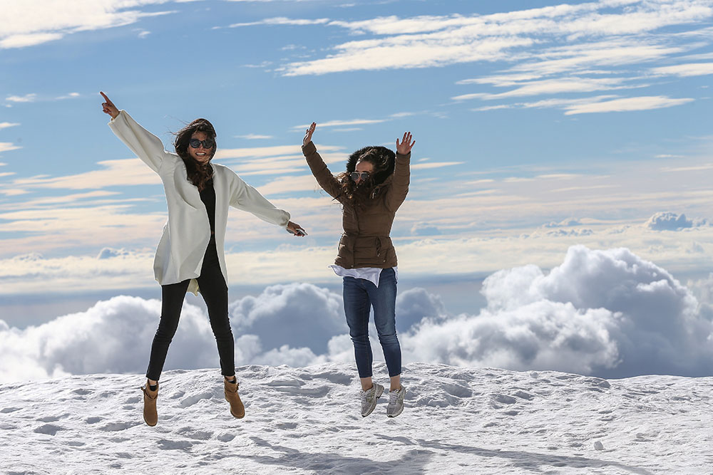 20181211_2_33864446_39784058