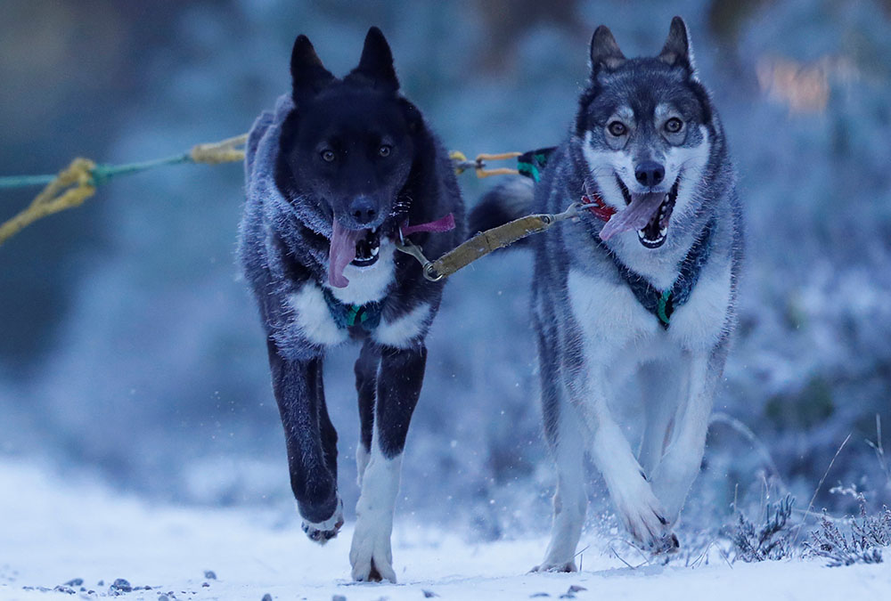 REUTERS/Russell Cheyne