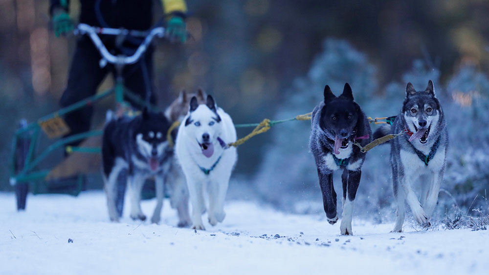 REUTERS/Russell Cheyne