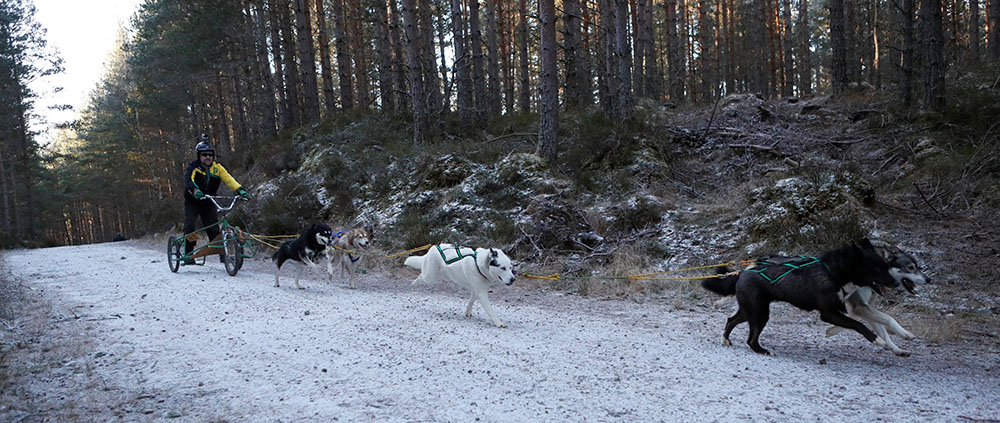 REUTERS/Russell Cheyne