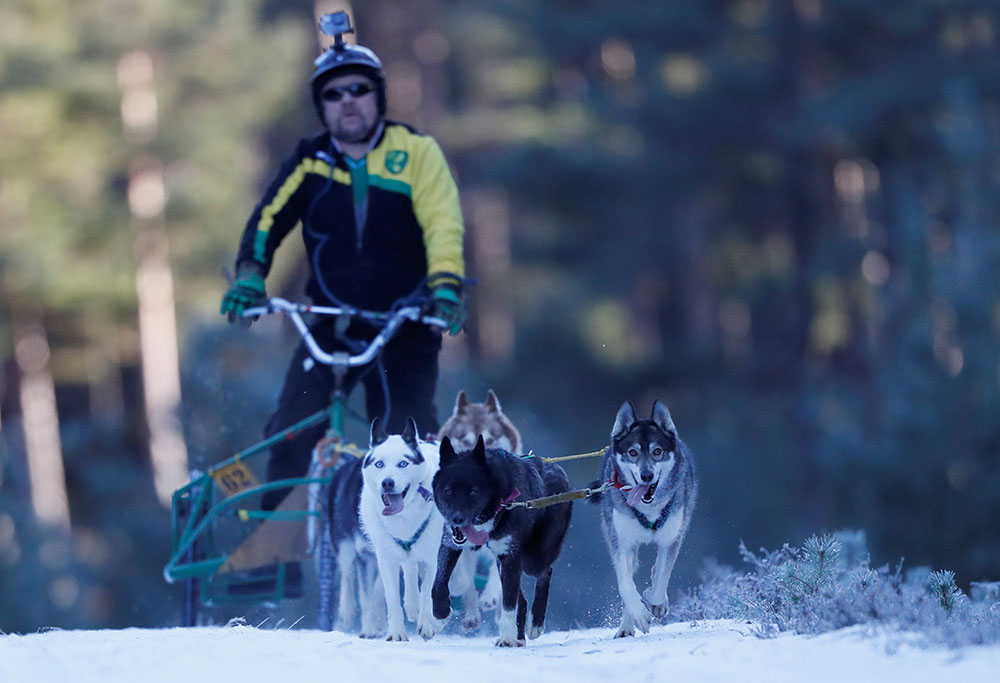 REUTERS/Russell Cheyne