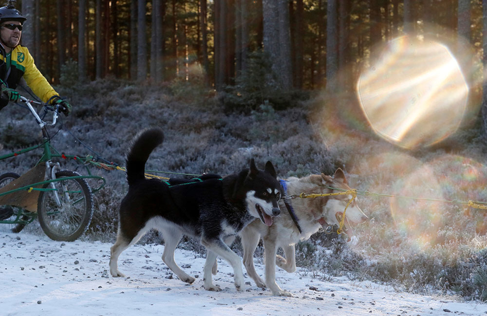 REUTERS/Russell Cheyne