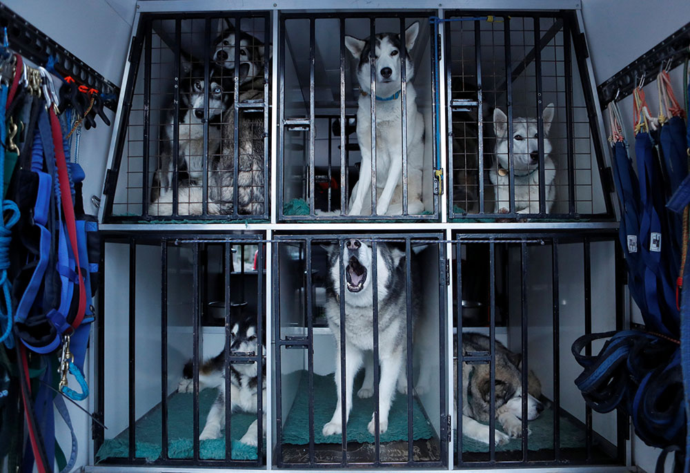 REUTERS/Russell Cheyne