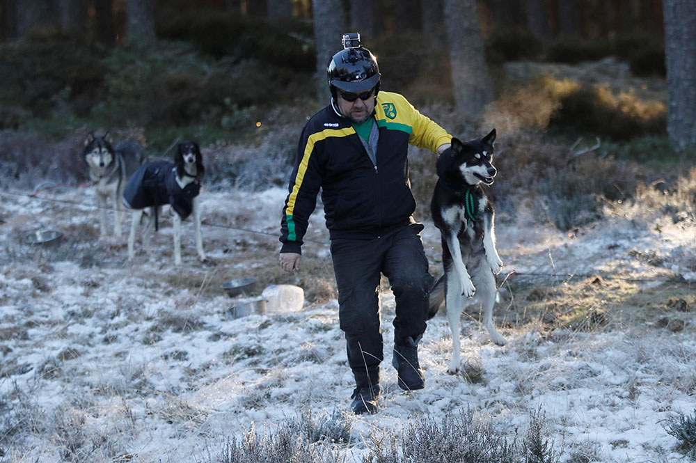 2019-01-23T142155Z_2023563852_RC1548BD3170_RTRMADP_3_BRITAIN-HUSKIES