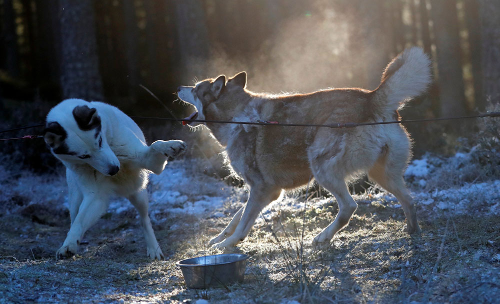REUTERS/Russell Cheyne