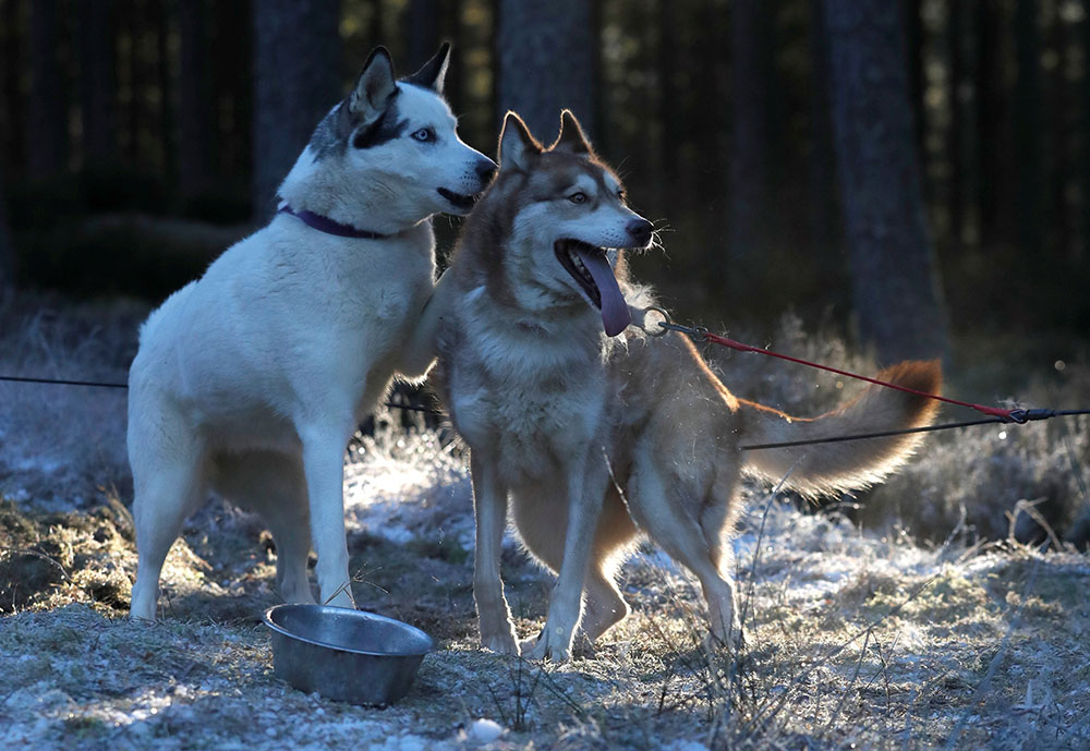 REUTERS/Russell Cheyne