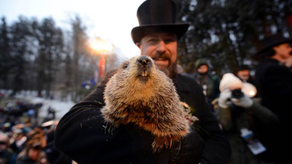 2019-02-02T135727Z_992241242_RC1B137300E0_RTRMADP_3_USA-GROUNDHOGDAY