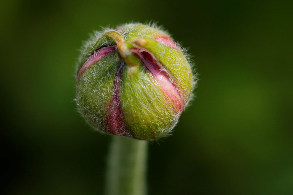 2019-03-21T220500Z_196273271_RC13A9840660_RTRMADP_3_USA-DAILYLIFE