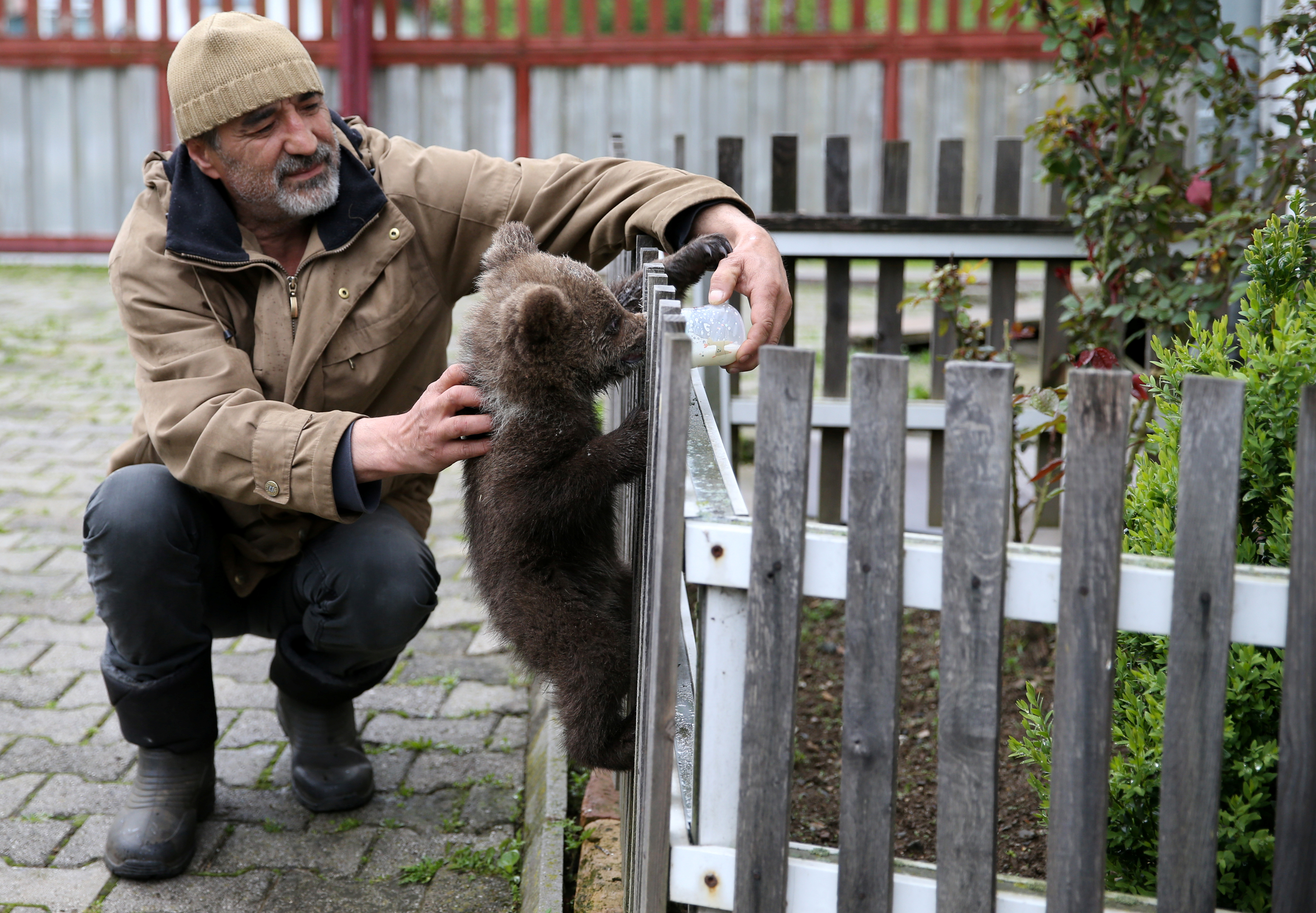 2019-05-17T100233Z_1414742553_RC1429D85B10_RTRMADP_3_BOSNIA-BEAR