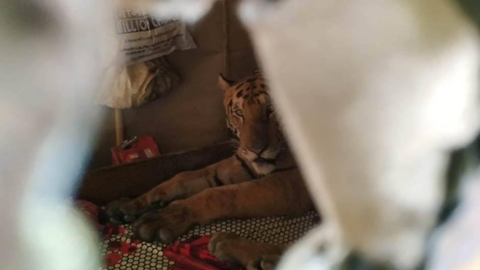 2019-07-20T061723Z_425741608_RC1FC0EA4B50_RTRMADP_3_SOUTHASIA-FLOODS