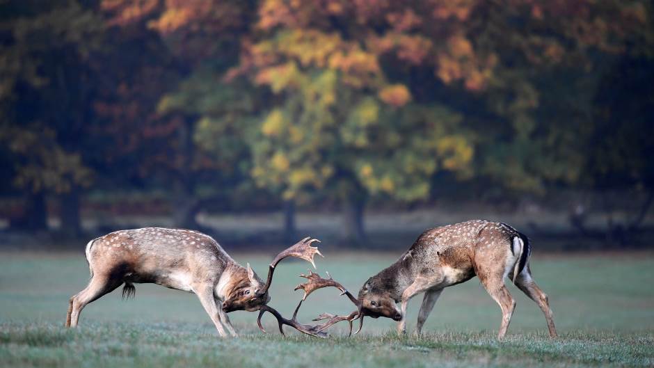 2019-10-27T095418Z_971284867_RC1E35D2A330_RTRMADP_3_BRITAIN-WEATHER