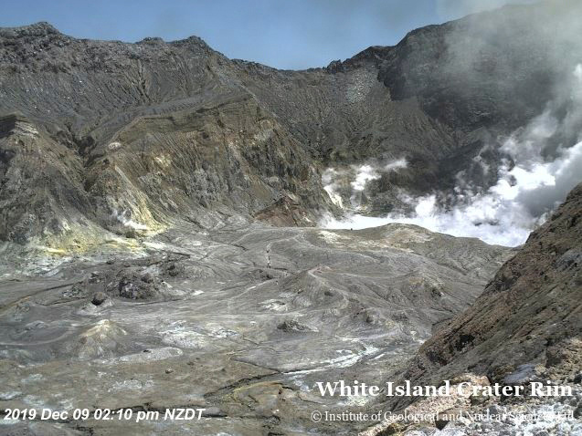 2019-12-09T000000Z_163824421_RC2GRD9JRP1T_RTRMADP_3_NEWZEALAND-VOLCANO