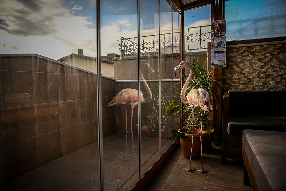 ANADOLIJA/Sergen Sezgin