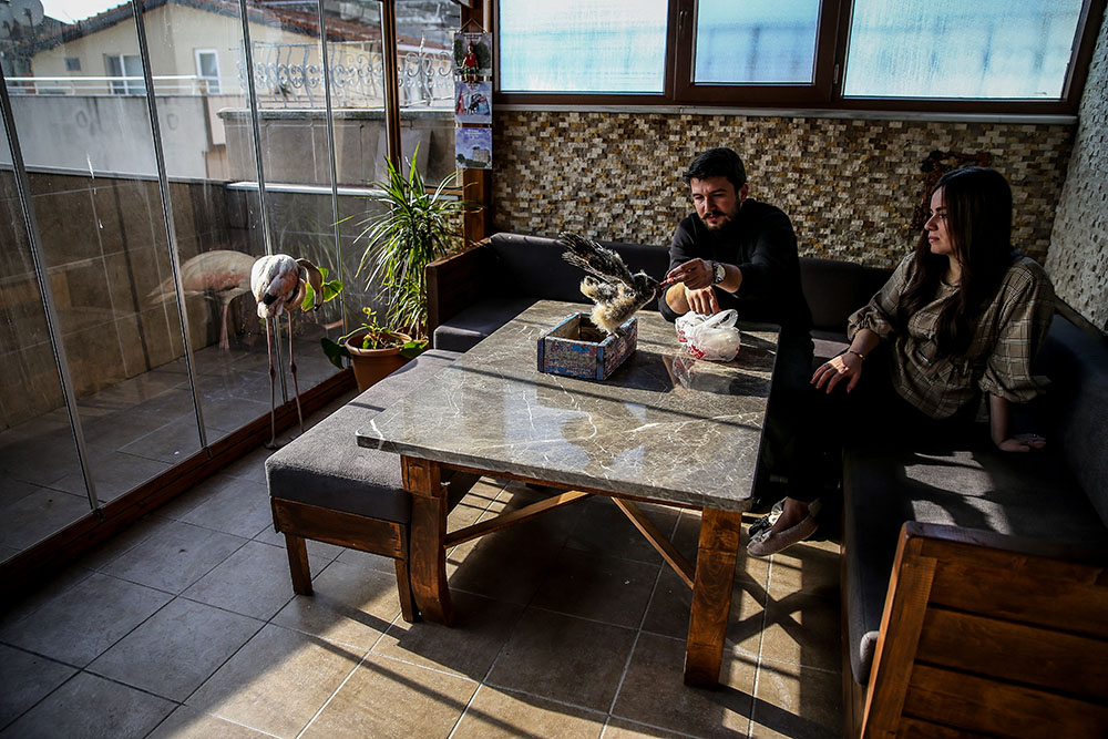 20190115_2_34423218_40745584