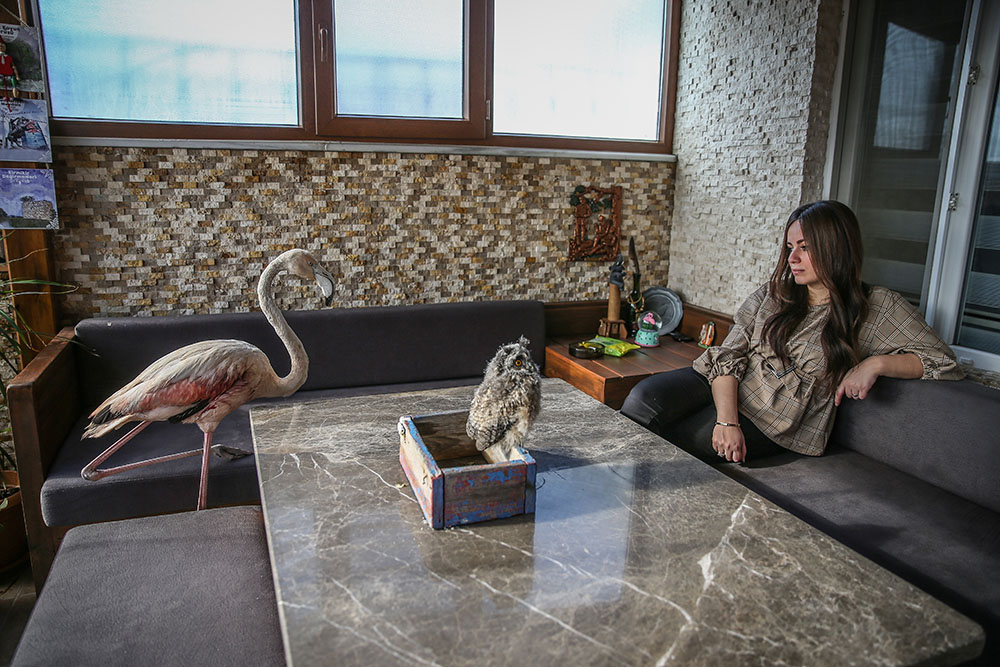 ANADOLIJA/Sergen Sezgin