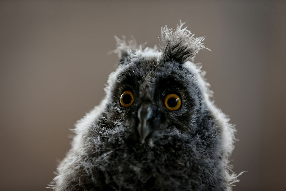 ANADOLIJA/Sergen Sezgin