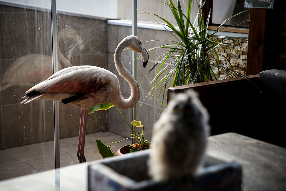 20190115_2_34423218_40745602