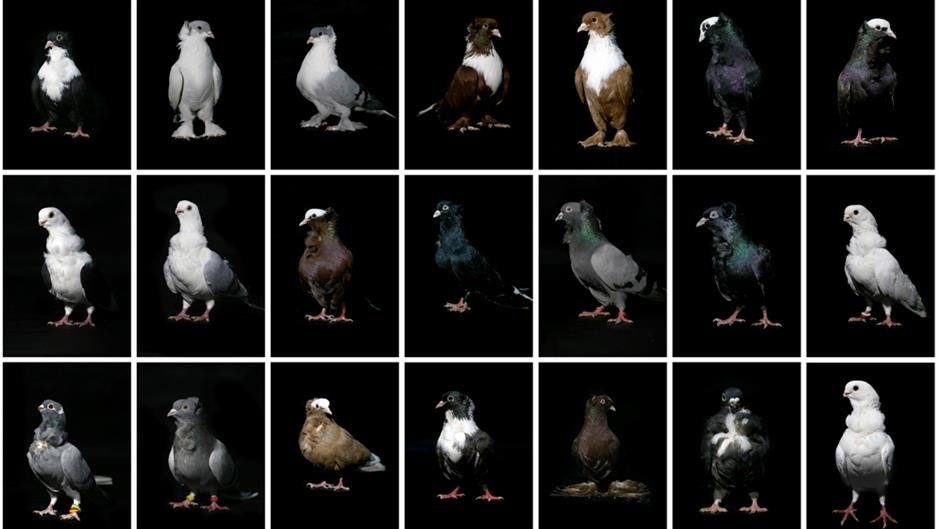 20190123_2_34557103_41001798