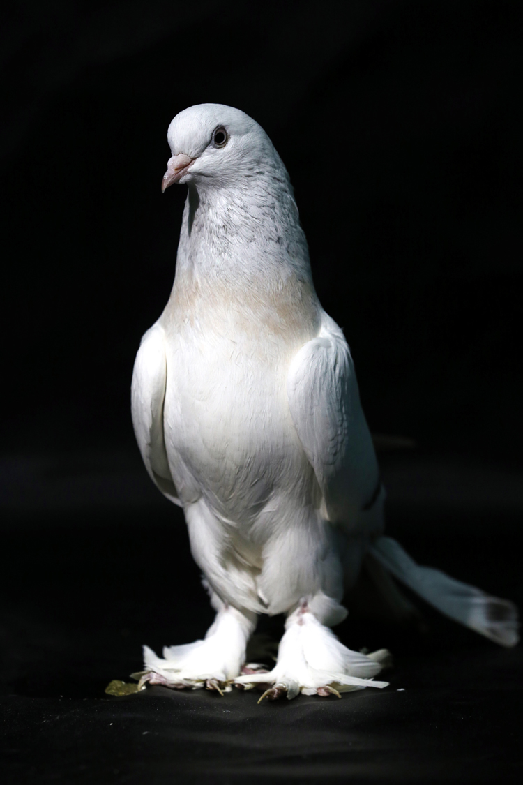 20190123_2_34557103_41001825