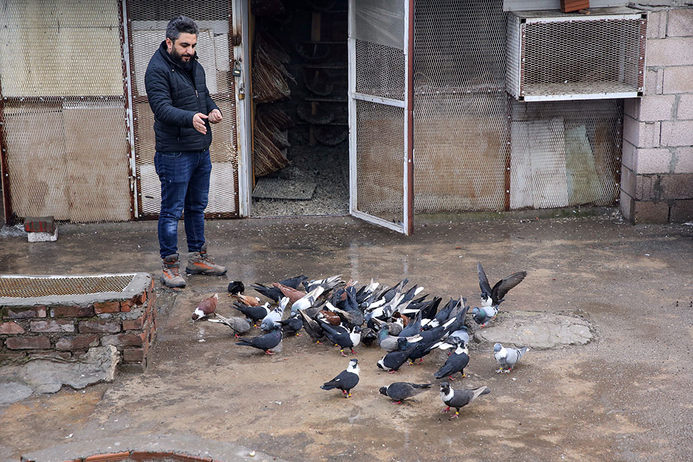 Anadolija/Ömer Yasin Ergin