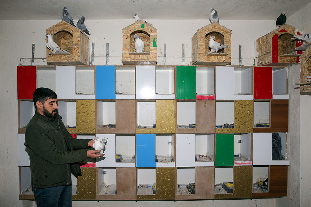 Anadolija/Ömer Yasin Ergin