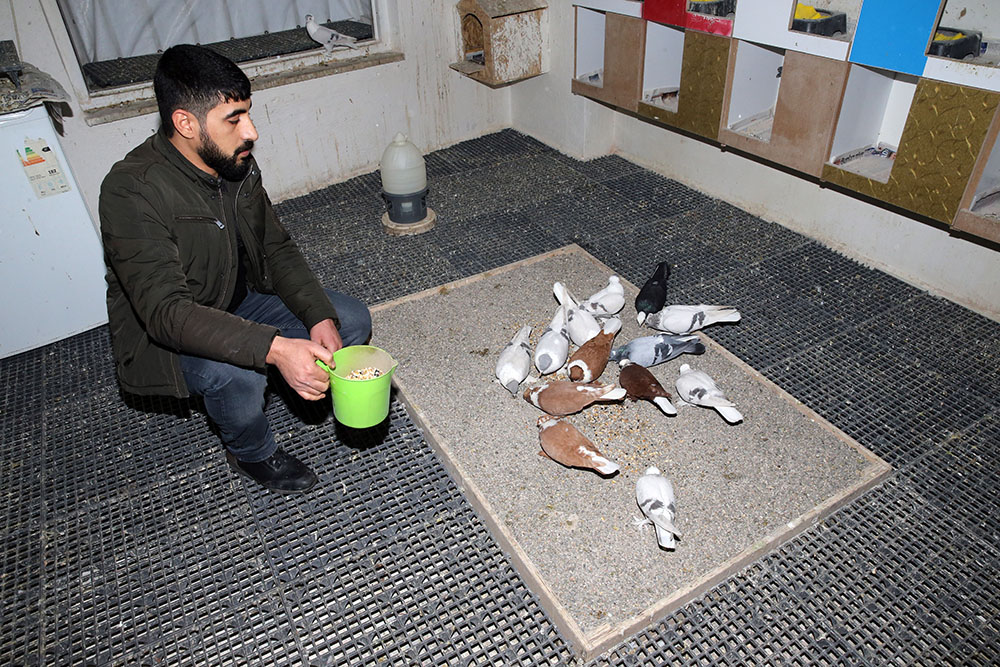 20190123_2_34557103_41001838