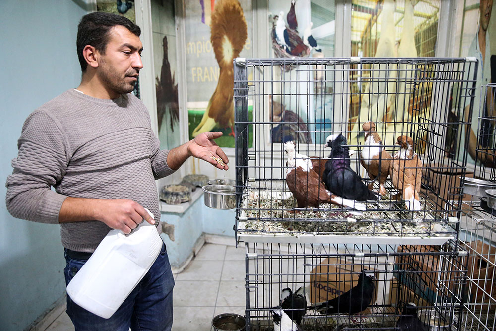 Anadolija/Ömer Yasin Ergin