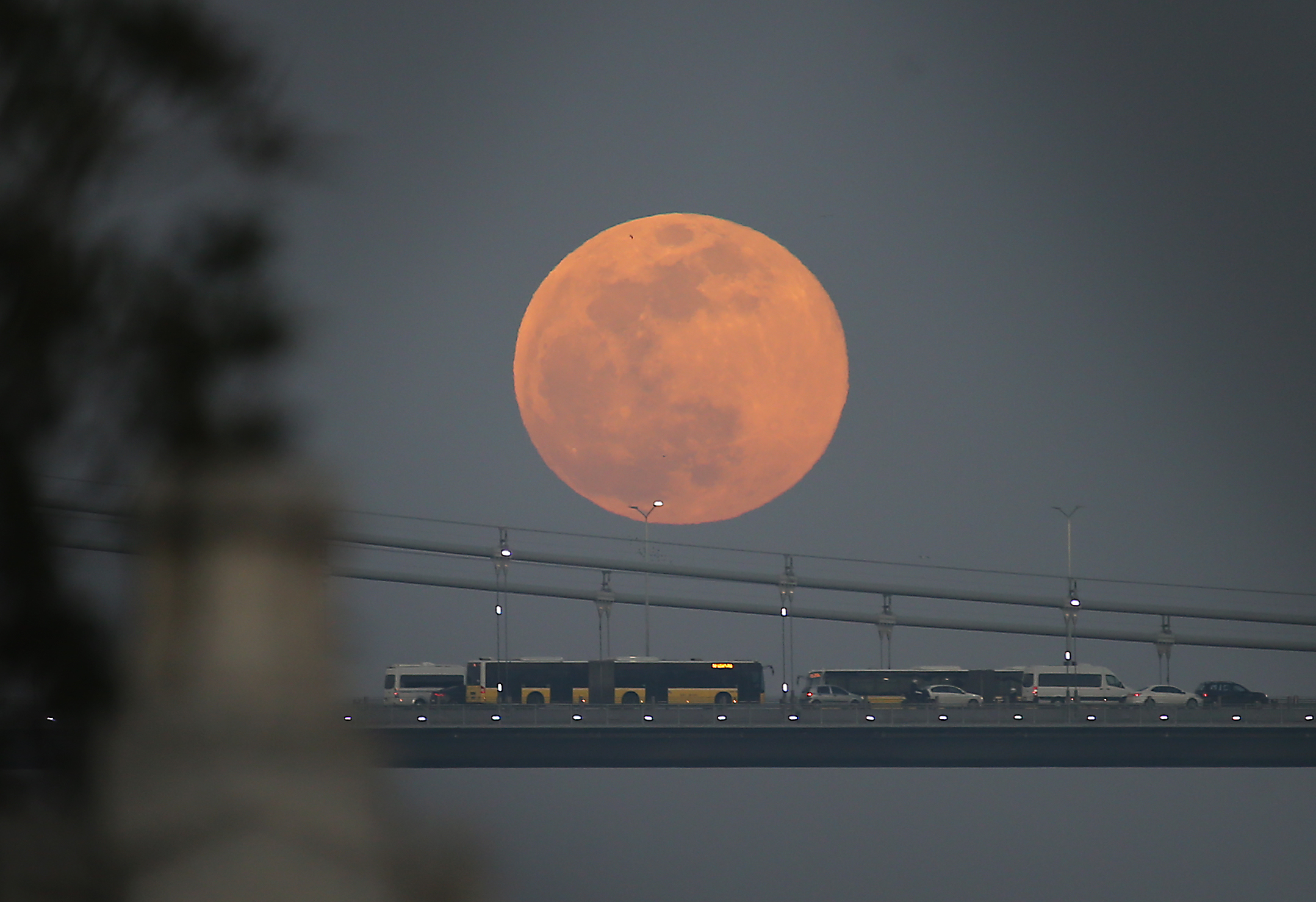 20190219_2_35028181_41833853