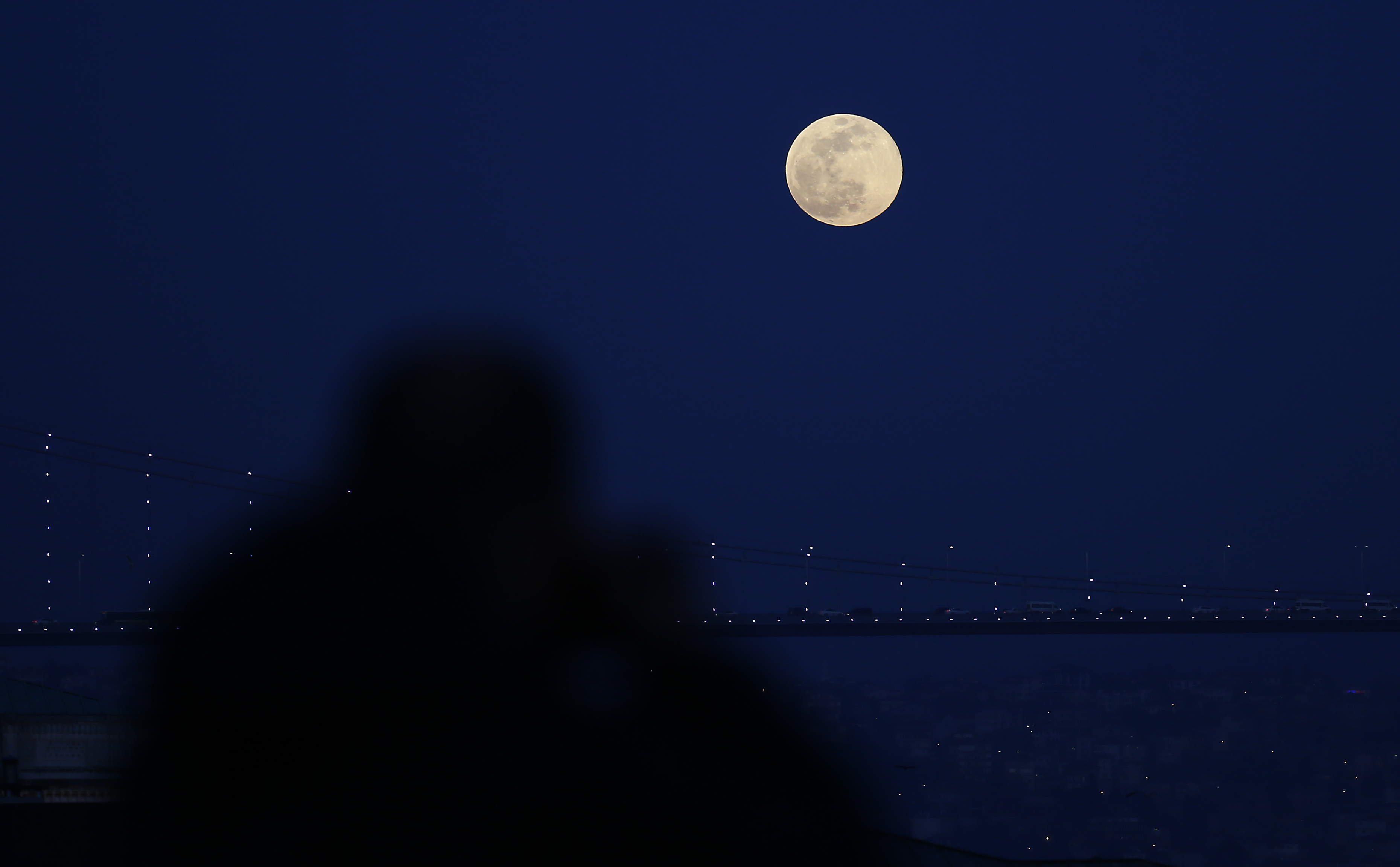 20190219_2_35028181_41833868