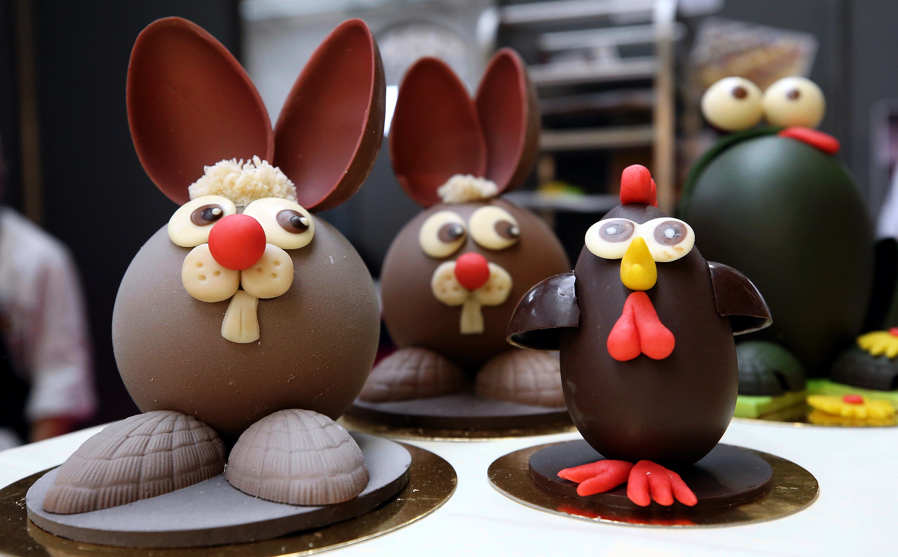 20190222_2_35083533_41935493