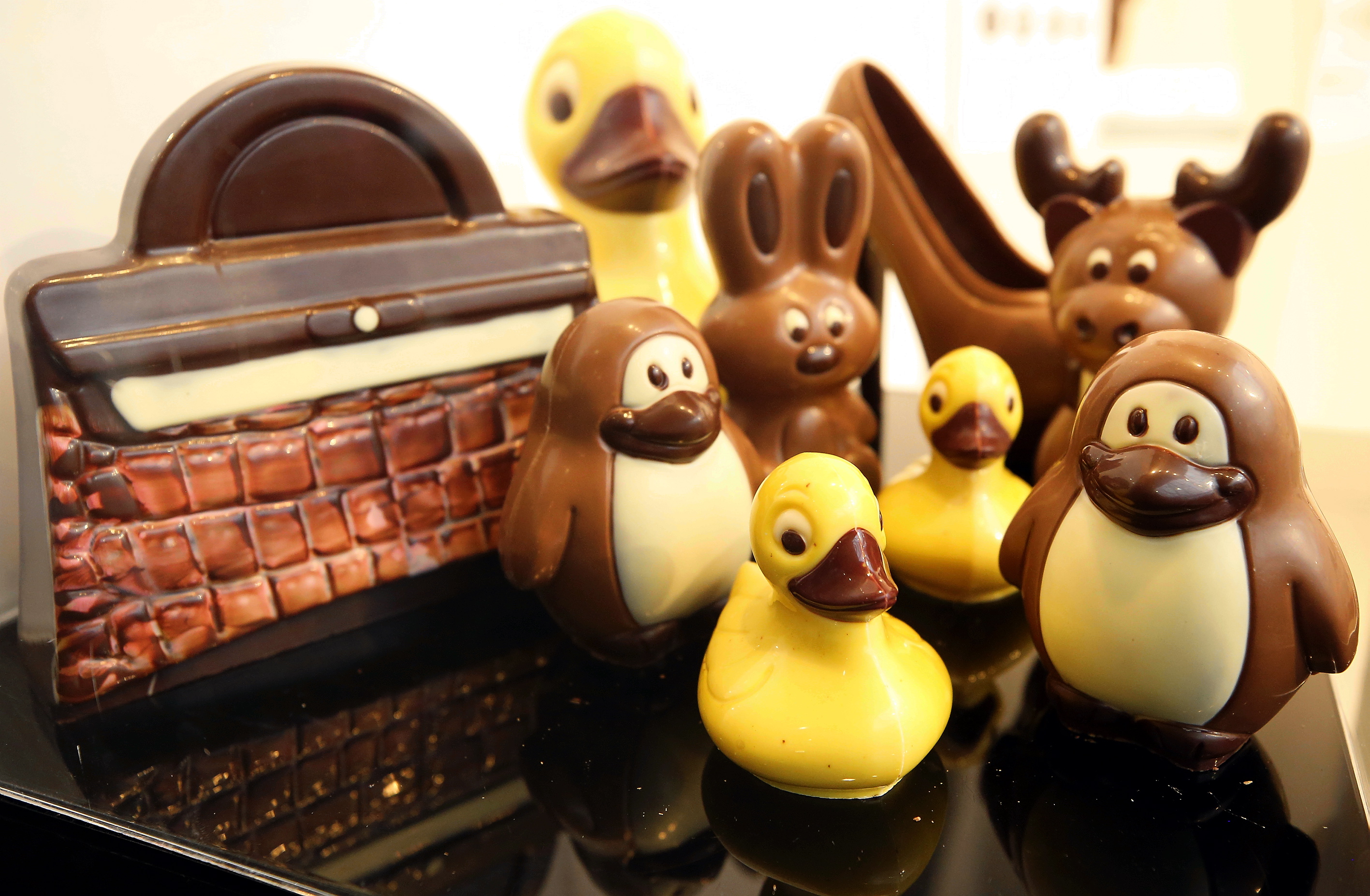 20190222_2_35083533_41935495