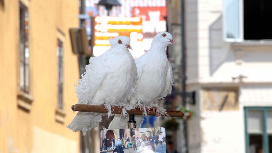 20190629_2_37125138_45689532