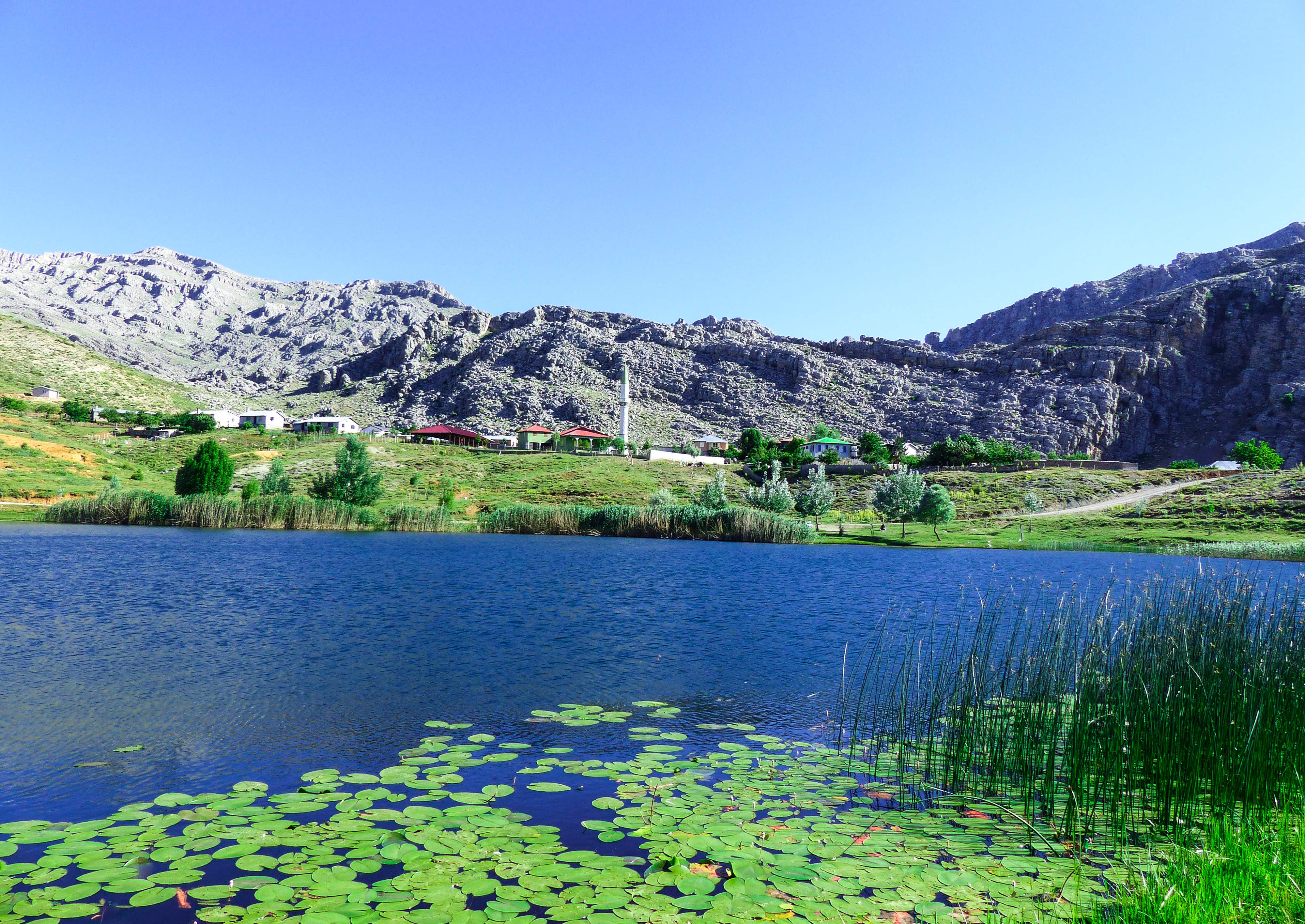 20190702_2_37157807_45743821