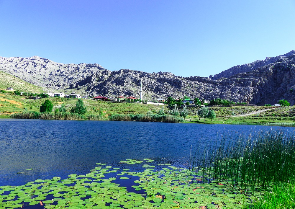 20190702_2_37157807_45743821