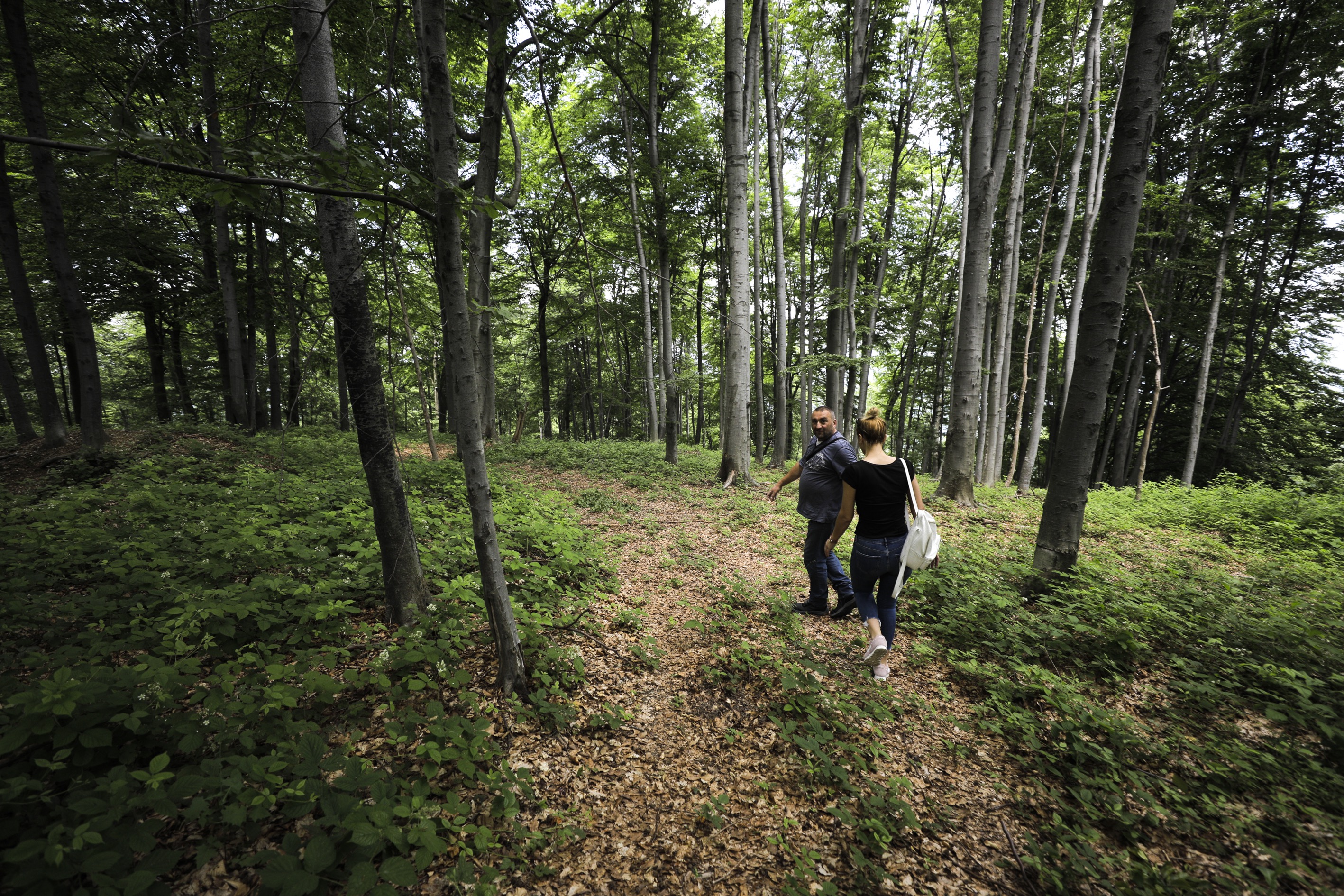 20190707_2_37228951_45869408