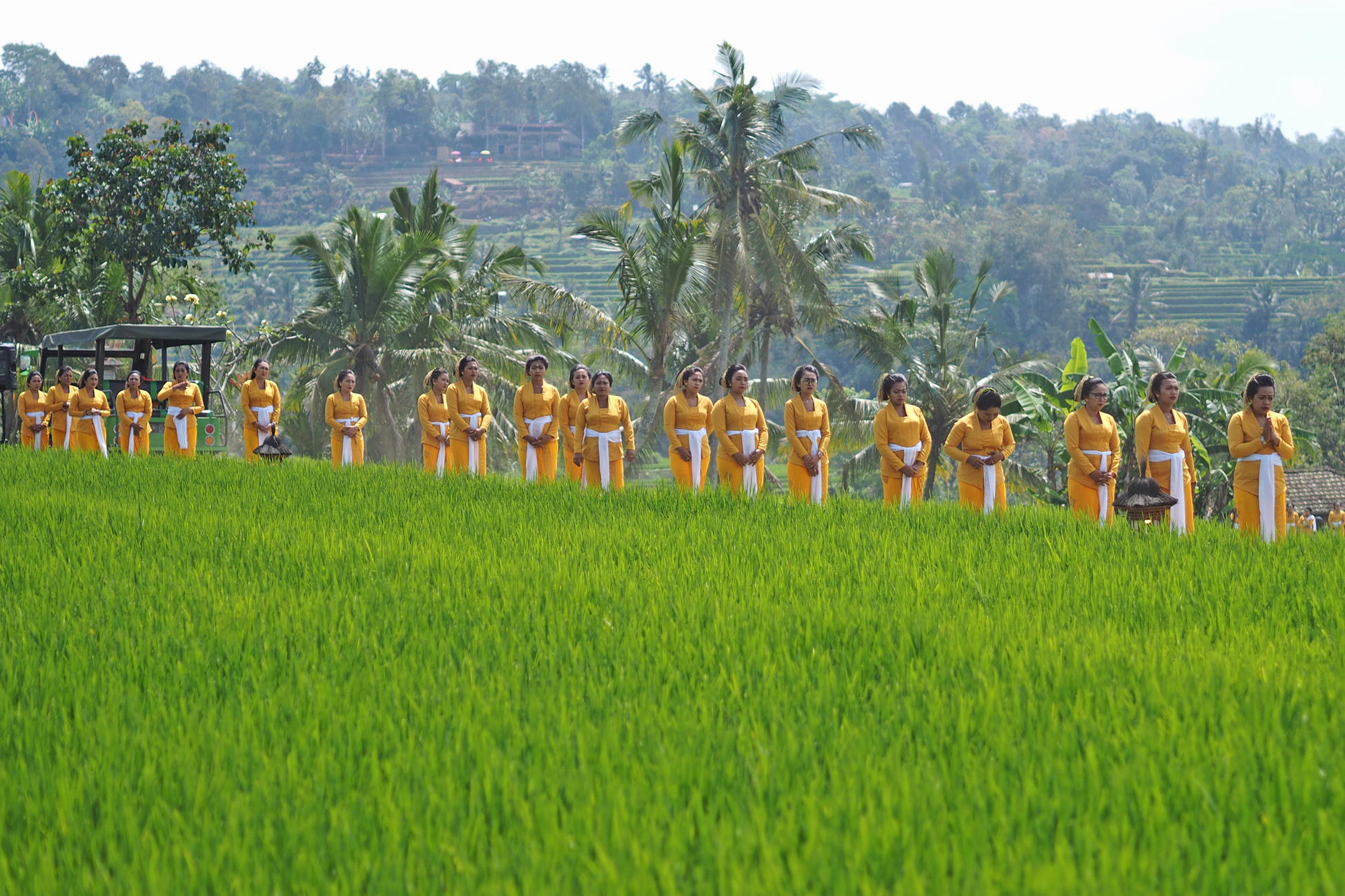 20190921_2_38332282_47797608