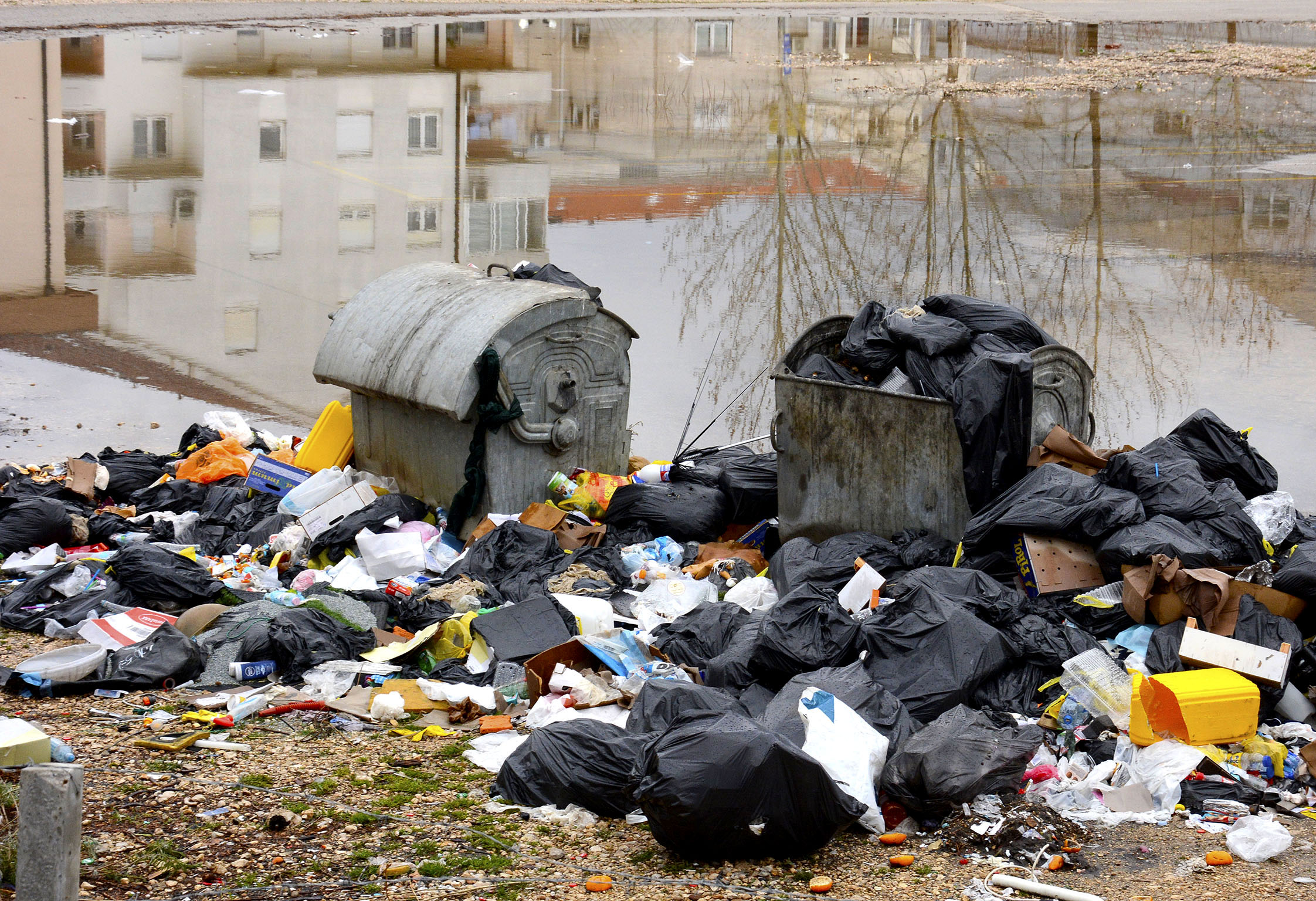 20200305_2_41197285_52788887