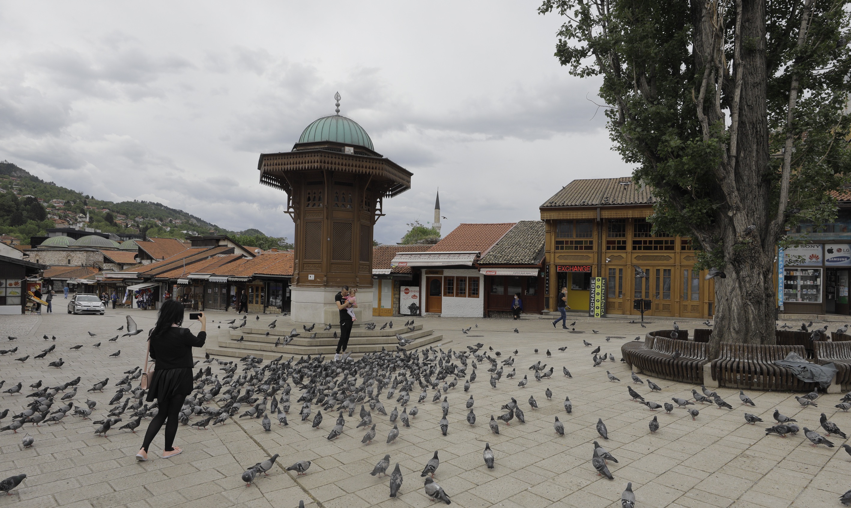 20200512_2_42393739_54830229