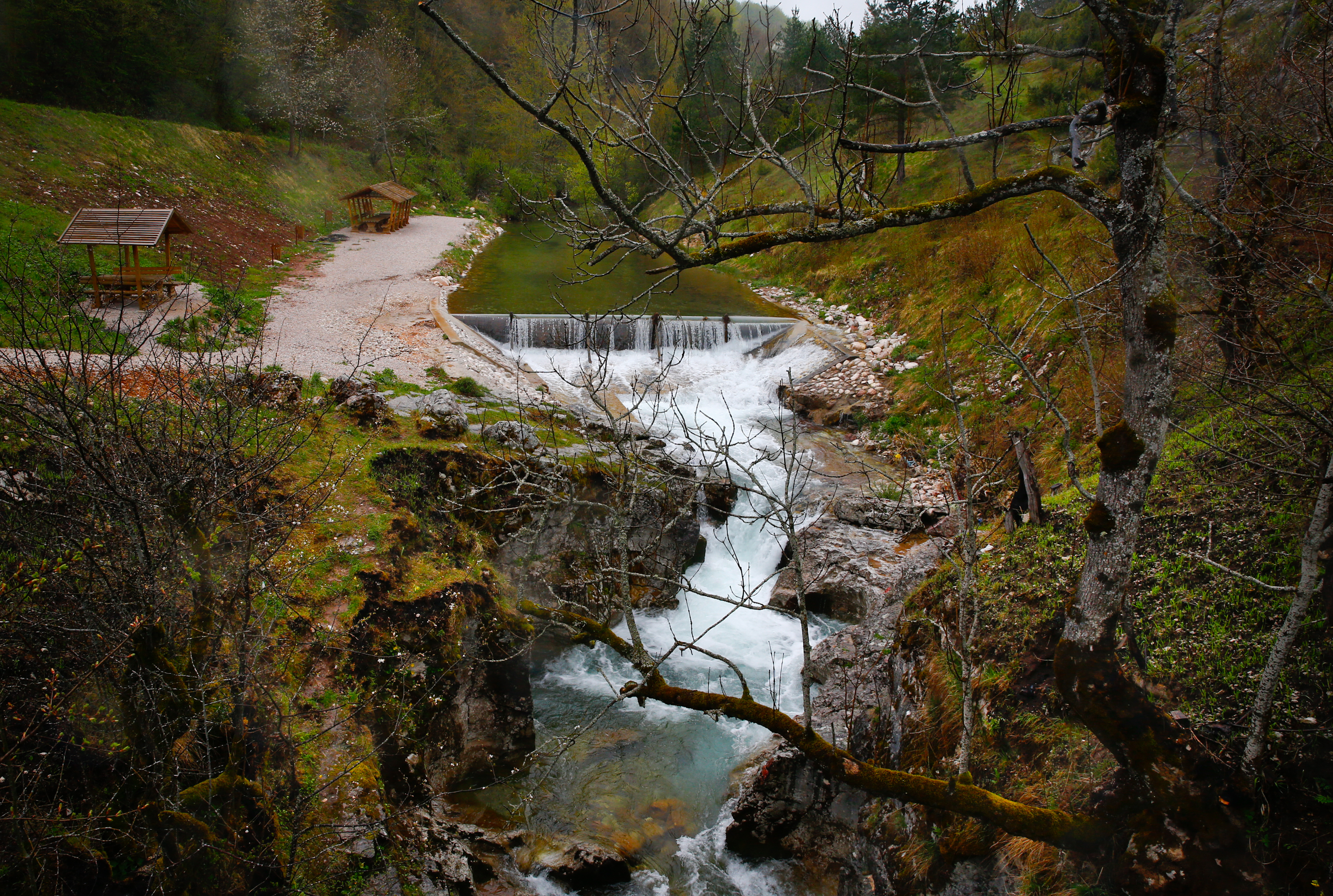 20200517_2_42481102_55003180